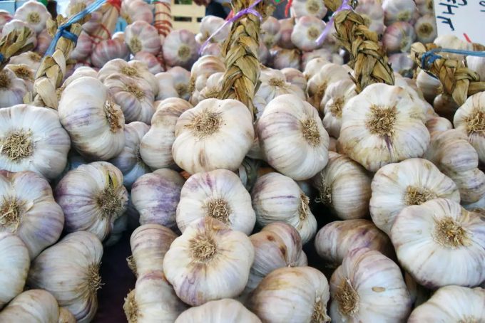 El precio de los ajos en el mercado es especulativo, el IPOD de noviembre indica que cuestan casi 10 veces su valor en el campo Especulación con el precio de los ajos