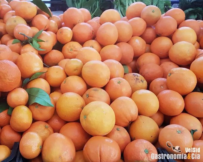 Beneficios de de α-caroteno y β-caroteno Mejorar la función cognitiva en adultos a través de la alimentación