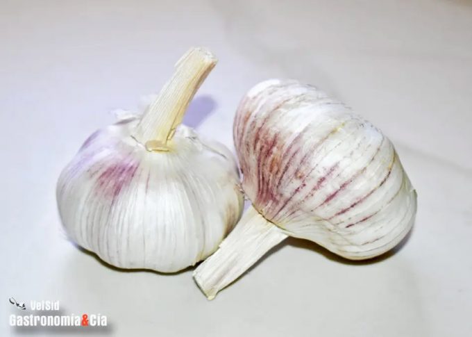 Los consumidores hemos pagado hasta 10 veces el valor de los ajos en el campo Índice de Precios en Origen y Destino de los Alimentos