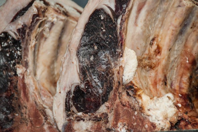 Carne madurada Proceso para el envejecimiento de la carne