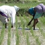 Alimentos y calentamiento del planeta