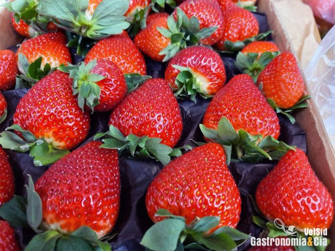 Los productos fitosanitarios alteran el sabor y olor de las fresas