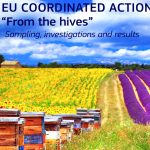 Fraude de la miel en la UE