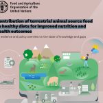 Contribución de los alimentos de origen animal terrestre a una dieta sana para mejorar la nutrición y la salud