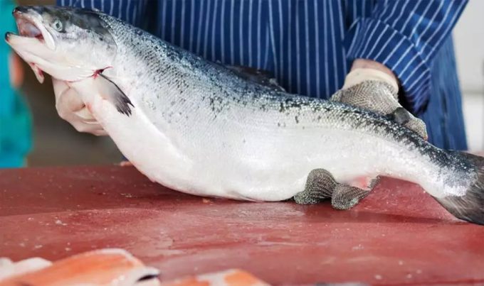 Tasa al salmón de Noruega