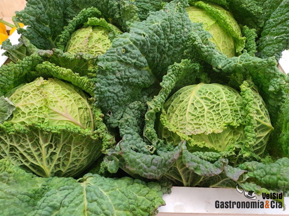 Pesticidas en los alimentos de la Unión Europea