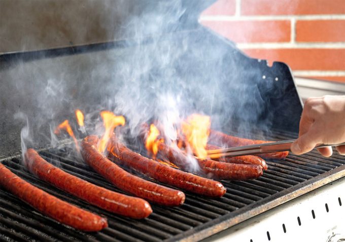 Cerdos editados genéticamente para mejorar su calidad