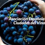 Ciudad Española del Vino