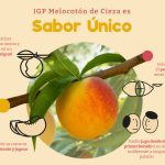 Indicación Geográfica Protegida