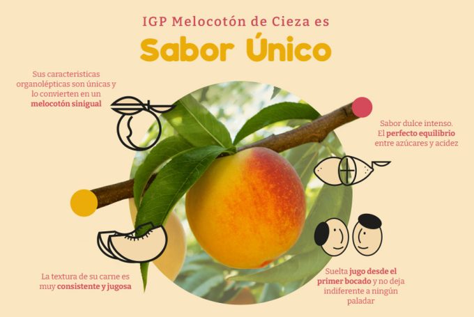 Indicación Geográfica Protegida