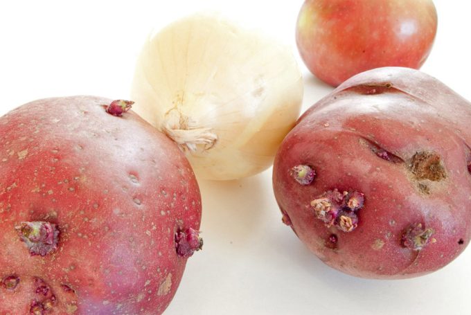 Brotes en las patatas