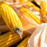 Elaborar carne vegetal con menos procesos