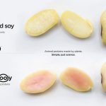 Producir proteínas animales a partir de ingredientes vegetales