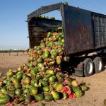 Paquete de medidas Fit for 55