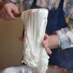 Microbiota de la Mozzarella