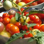 Gastronomía sostenible, ¿Qué es?