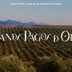 Aceite de oliva virgen extra