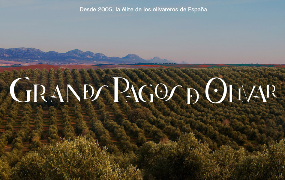 Aceite de oliva virgen extra