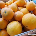 Podredumbre verde en las naranjas