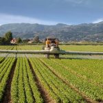 Renovación del permiso de uso del herbicida glifosato