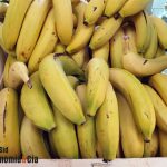 IPOD de septiembre de 2023