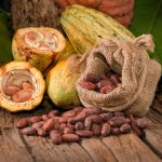 Beneficios de los insectos polinizadores