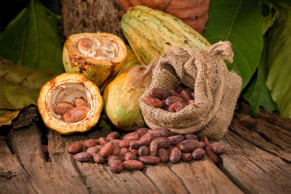 Beneficios de los insectos polinizadores