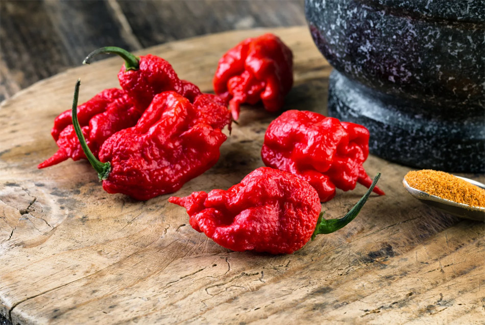 Lista de los chiles más picantes del mundo 2023 | Gastronomía & Cía