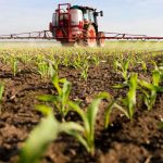 Nuevo reglamento del glifosato en la Unión Europea