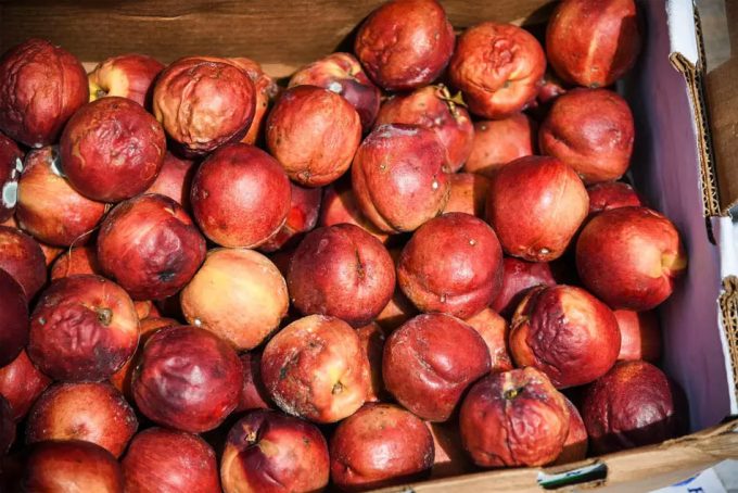 Causas por las que los consumidores no aceptan los alimentos reciclados