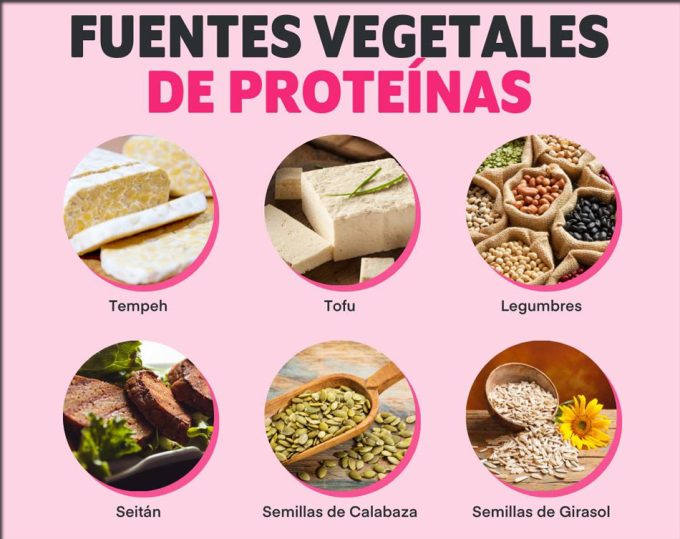 Recetas y consejos