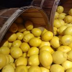 IPOD de enero de 2024