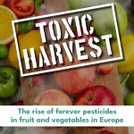 PFAS (sustancias perfluoroalquiladas y polifluoroalquiladas)