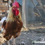 Luchar contra las bacterias resistentes a los antibióticos