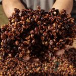 cloruro de metileno o diclorometano