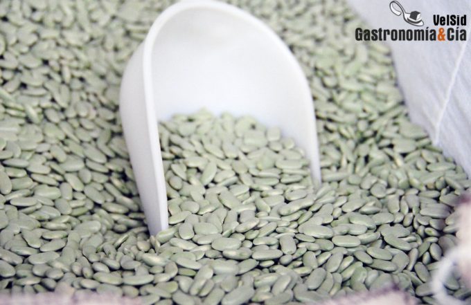 Cantidad recomendable de consumo de fibra dietética