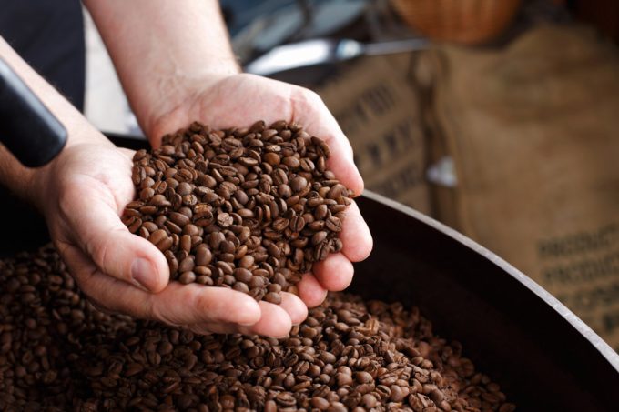 Desarrollar nuevas variedades de café Arábica
