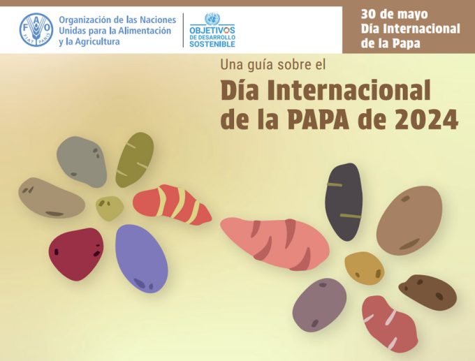 Día Internacional de la Papa
