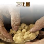 Campeonato Nacional de Turrón