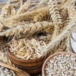 Similitud entre la dieta de la antigua Siria y la dieta Mediterranea