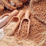 Riesgos de las toxinas vegetales para la salud humana