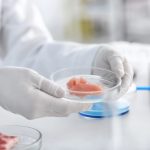Gran Bretaña aprueba la carne de cultivo celular