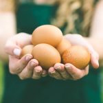 La empresa Hatchless puede producir carne de pollo a partir de huevos infertiles