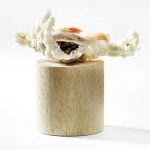 Arroz frito con caviar y papada