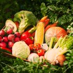 Agricultura ecológica