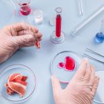 Seguridad de los alimentos de cultivo celular