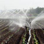 Declaración de Roma sobre la Escasez de Agua en la Agricultura