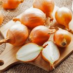 IPOD de octubre de 2024