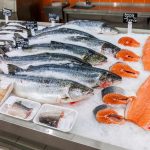 Problemas con el salmón de piscifactoría de Noruega