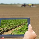 Tendencias que están transformando el sector del foodtech